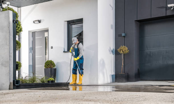 Best Roof Cleaning and Mildew Removal in Cetronia, PA